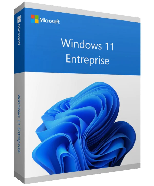 نرم افزار مایکروسافت ویندوز ۱۱ نسخه Enterprise – لایسنس Standard